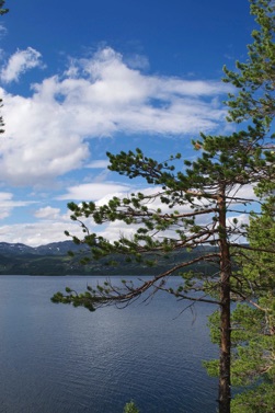 Lake view